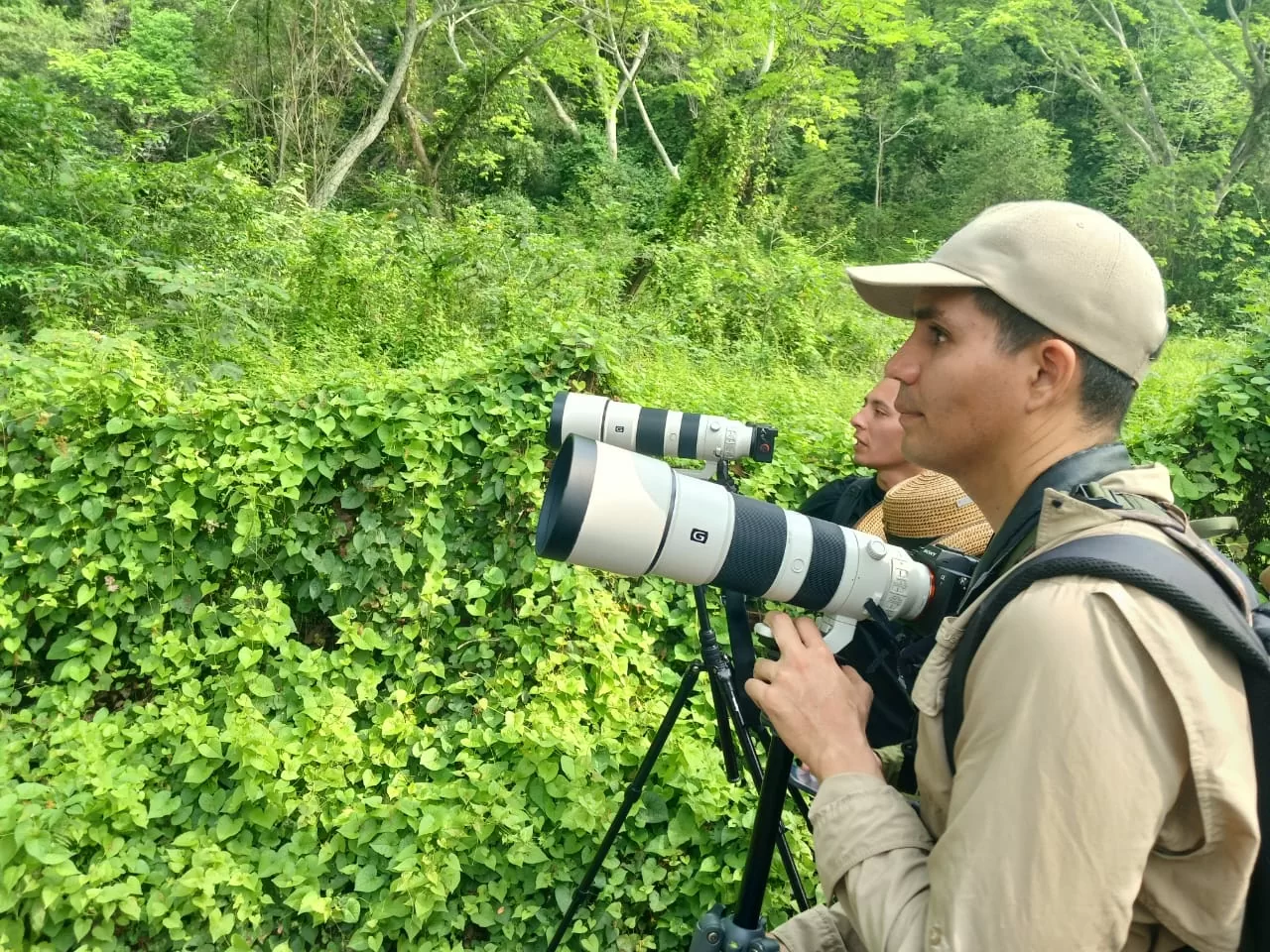 Fotografía de aves Honda