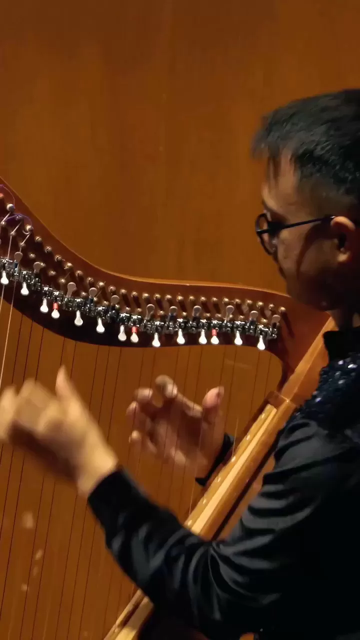 Wuilmer López en concierto