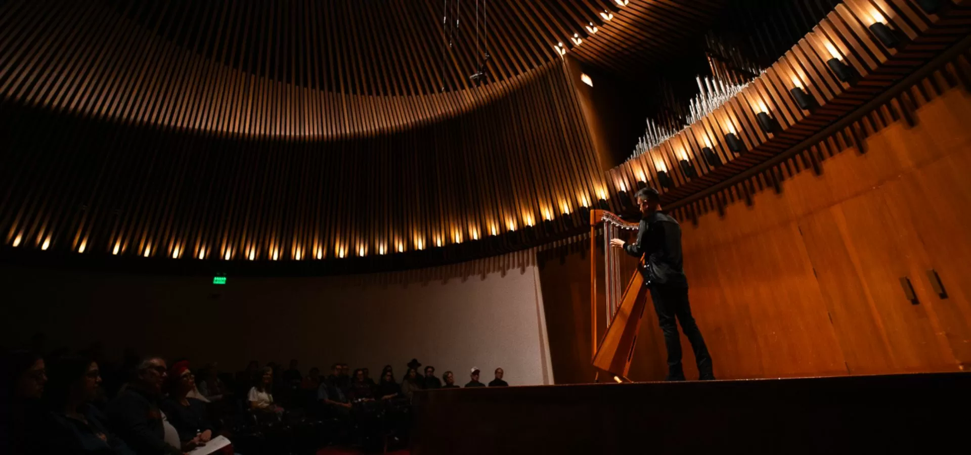 Arpista Wuilmer López en la Sala de Conciertos de la Biblioteca Luis Ángel Arango. Foto: Marzo Roa.
