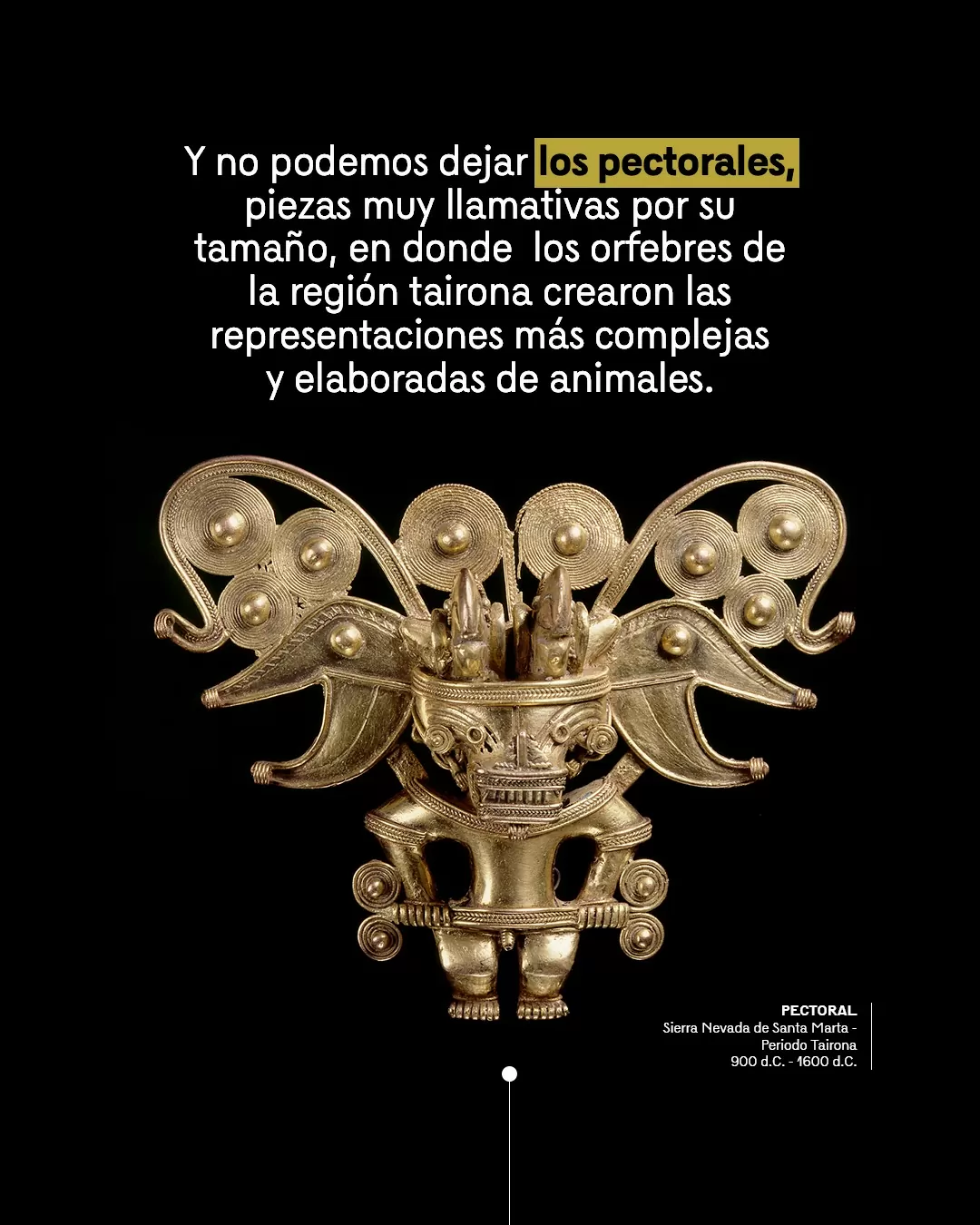 Figura pectoral y el texto: Y no podemos dejar los pectorales, piezas muy llamativas por su tamaño, en donde los orfebres de la región tairona crearon las representaciones más complejas y elaboradas de animales 