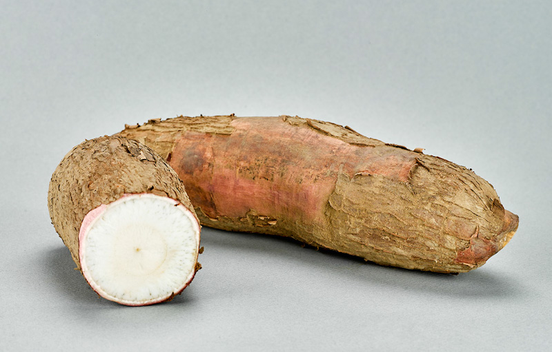 Yuca