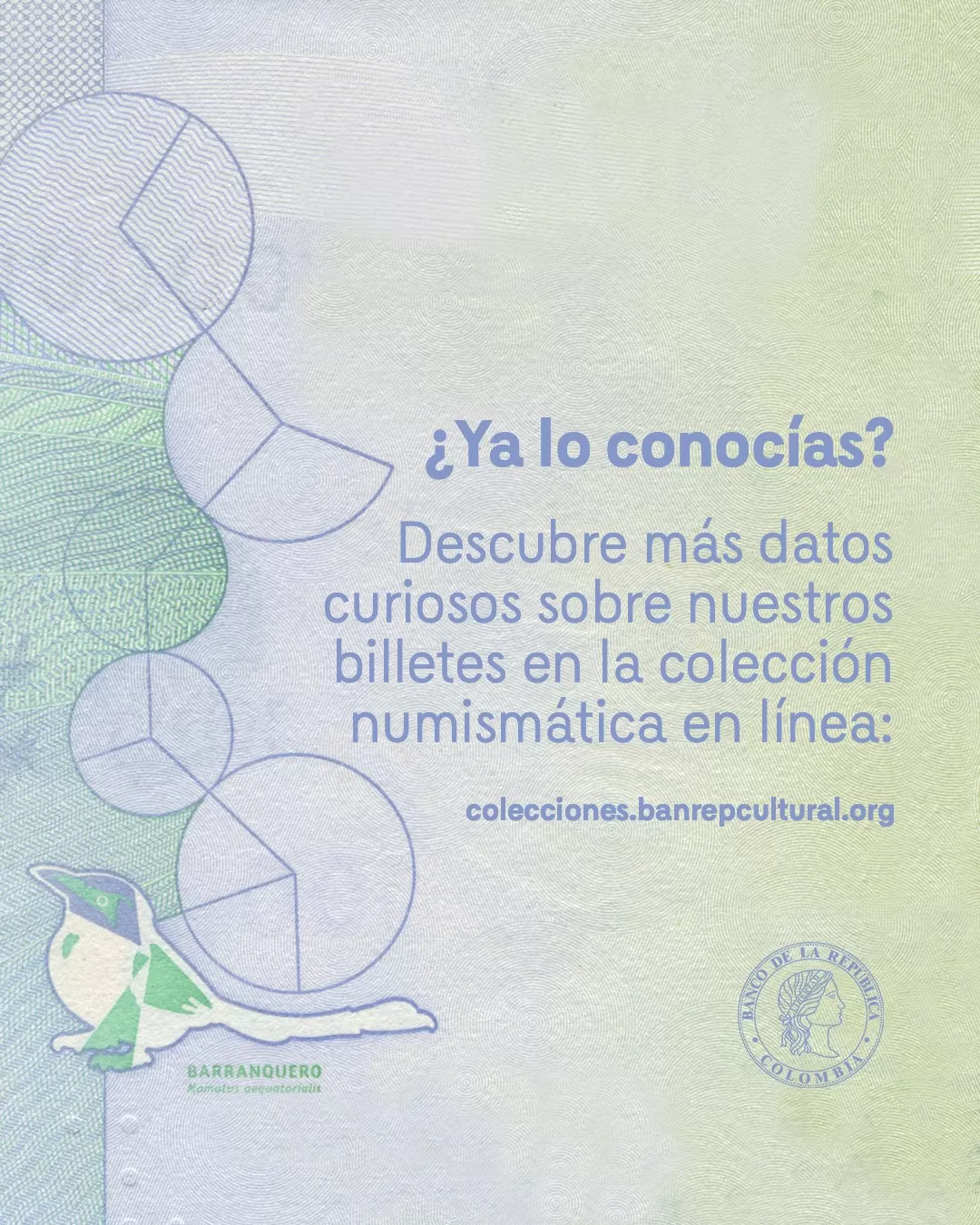 ¿Ya la conocías? Descubre más datos curiosos sobre nuestros billetes en la colección de numismática en línea