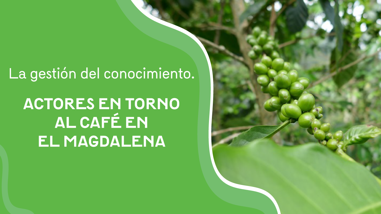 Gestion del conocimiento