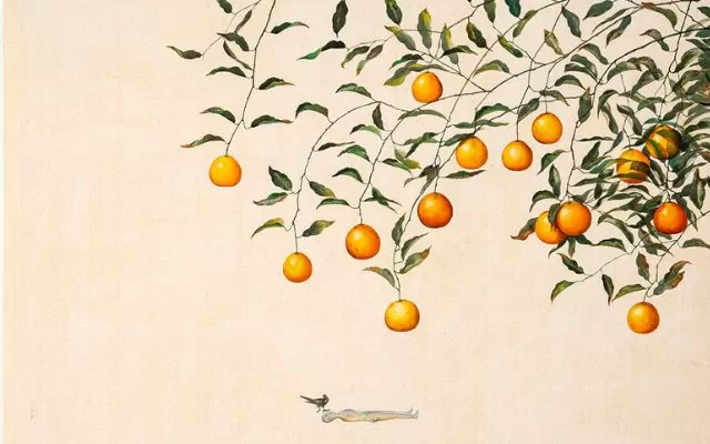 Jardín de las naranjas I y II (de la serie Transcontinental), José Germán