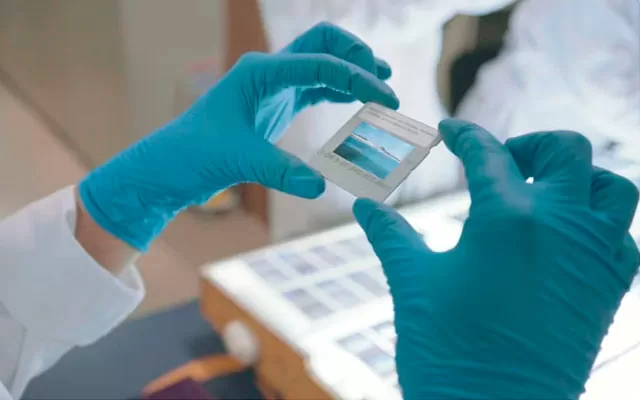 Biodiversidad de la Orinoquía colombiana: una mirada desde el archivo Renjifo  