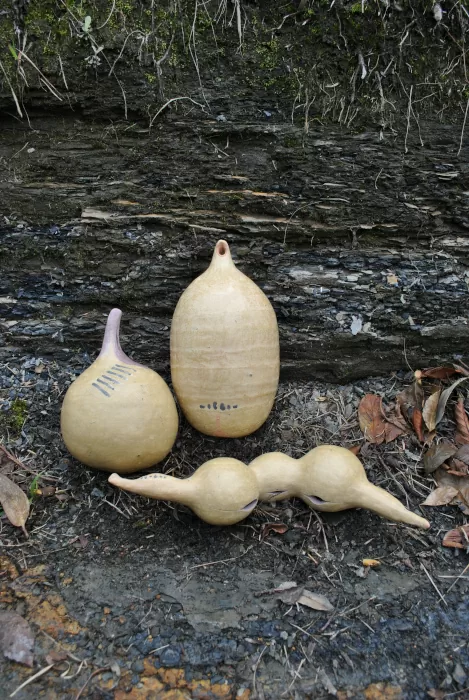 Semilleros para el inicio del mundo. Manuela Alrcón López Semilleros para el inicio del mundo. Manuela Alrcón López