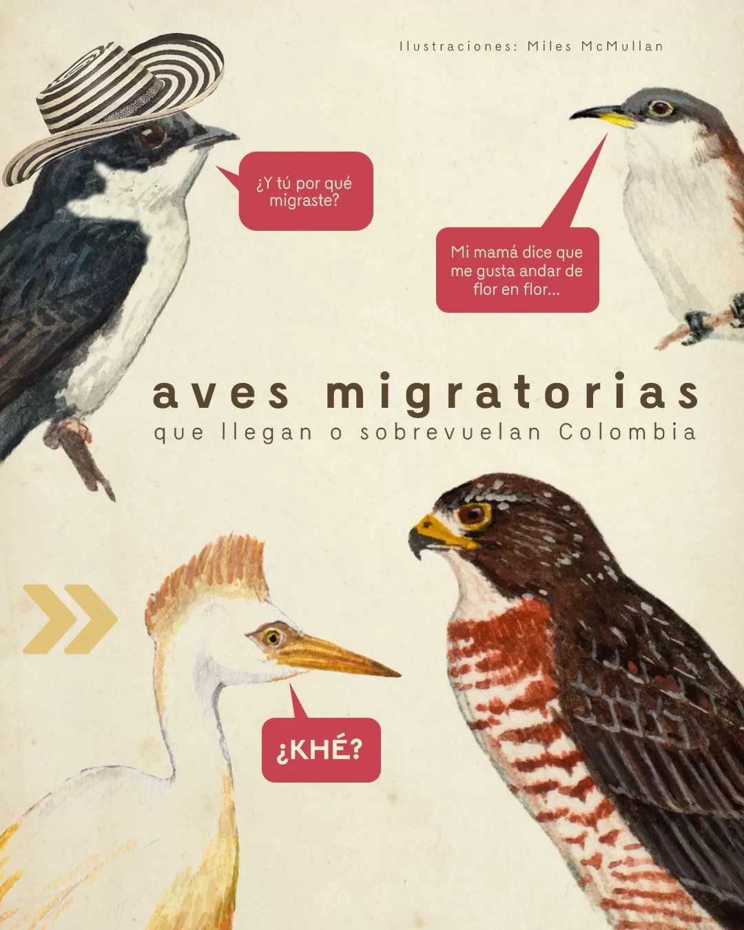 Aves migratorias que llegan o sobrevuelan Colombia