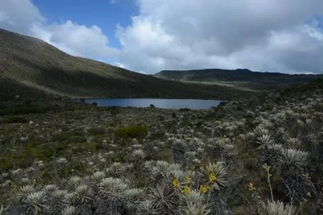 Laguna de Colorados en Pasca