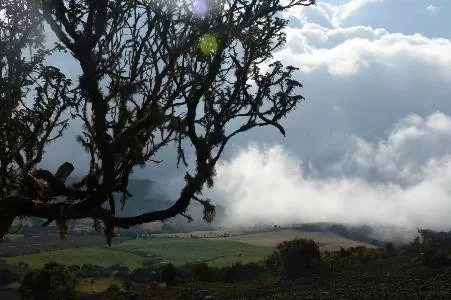 Vista del campo en Pasca 