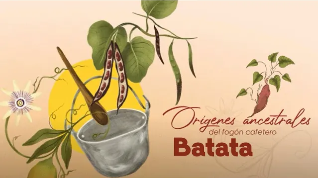 Miniatura Video receta batata fogón cafetero