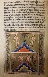 Bestiario de Oxford