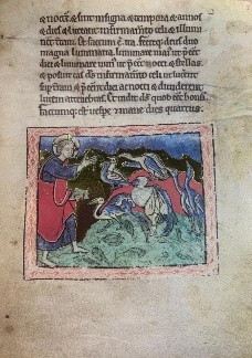 Bestiario de San Pestesburgo - Adán