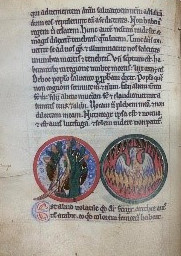 Bestiario de San Pestesburgo - Fénix