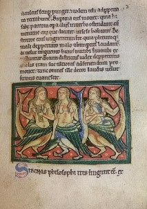 Bestiario de San Pestesburgo - Sirena