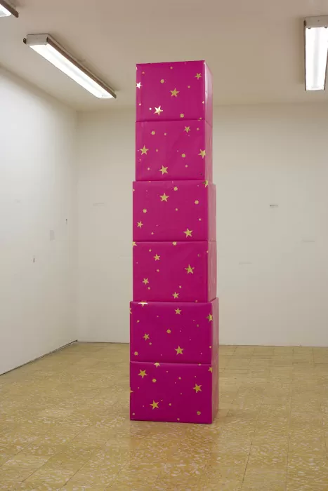 Cajas fucsia, 1996. Cajas de cartón cubiertas con papel regalo y dibujos en grafito sobre pared.