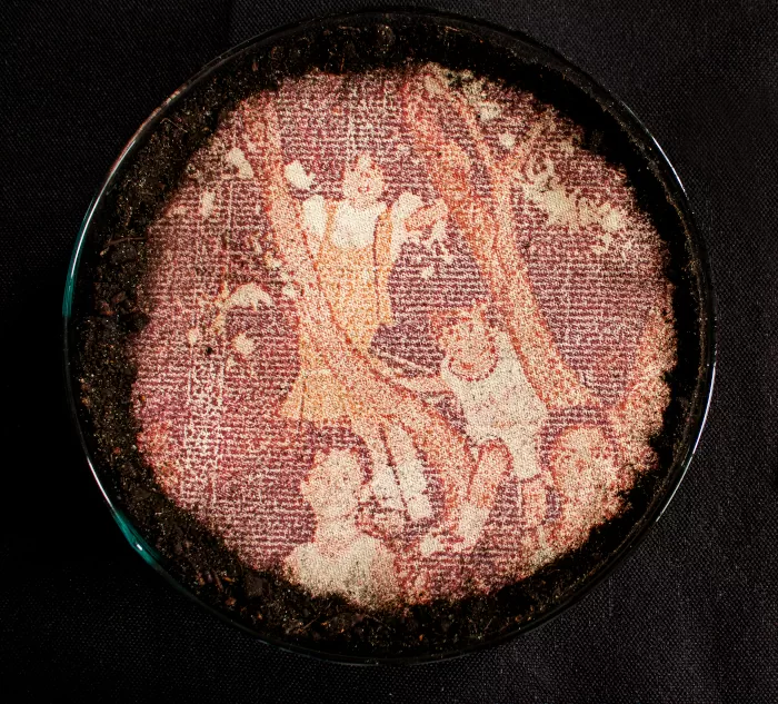 Super / Vivencia. Martha Isabel Calle