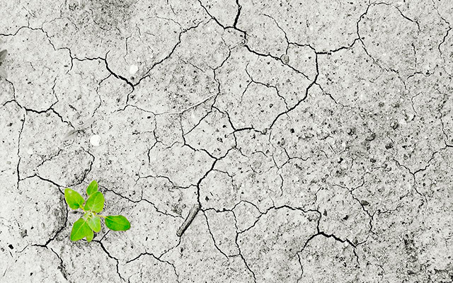 Erosión en el suelo por el cambio climático