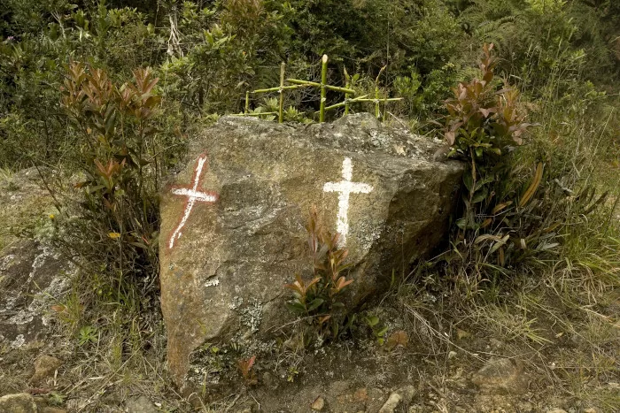 s.n. (hortus 1), de la serie Camposanto, 2006