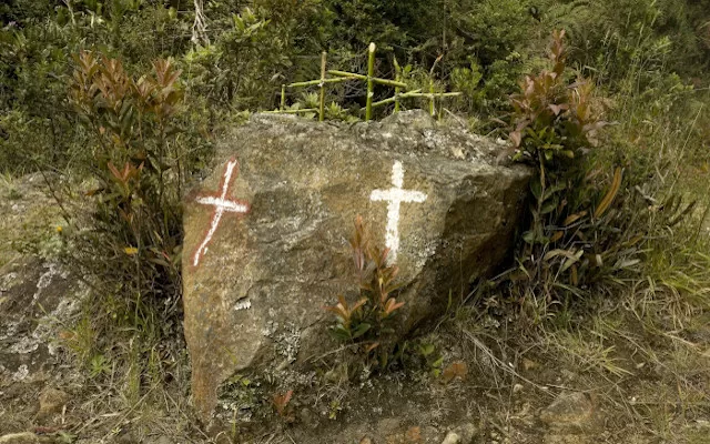 s.n. (hortus 1), de la serie Camposanto, 2006