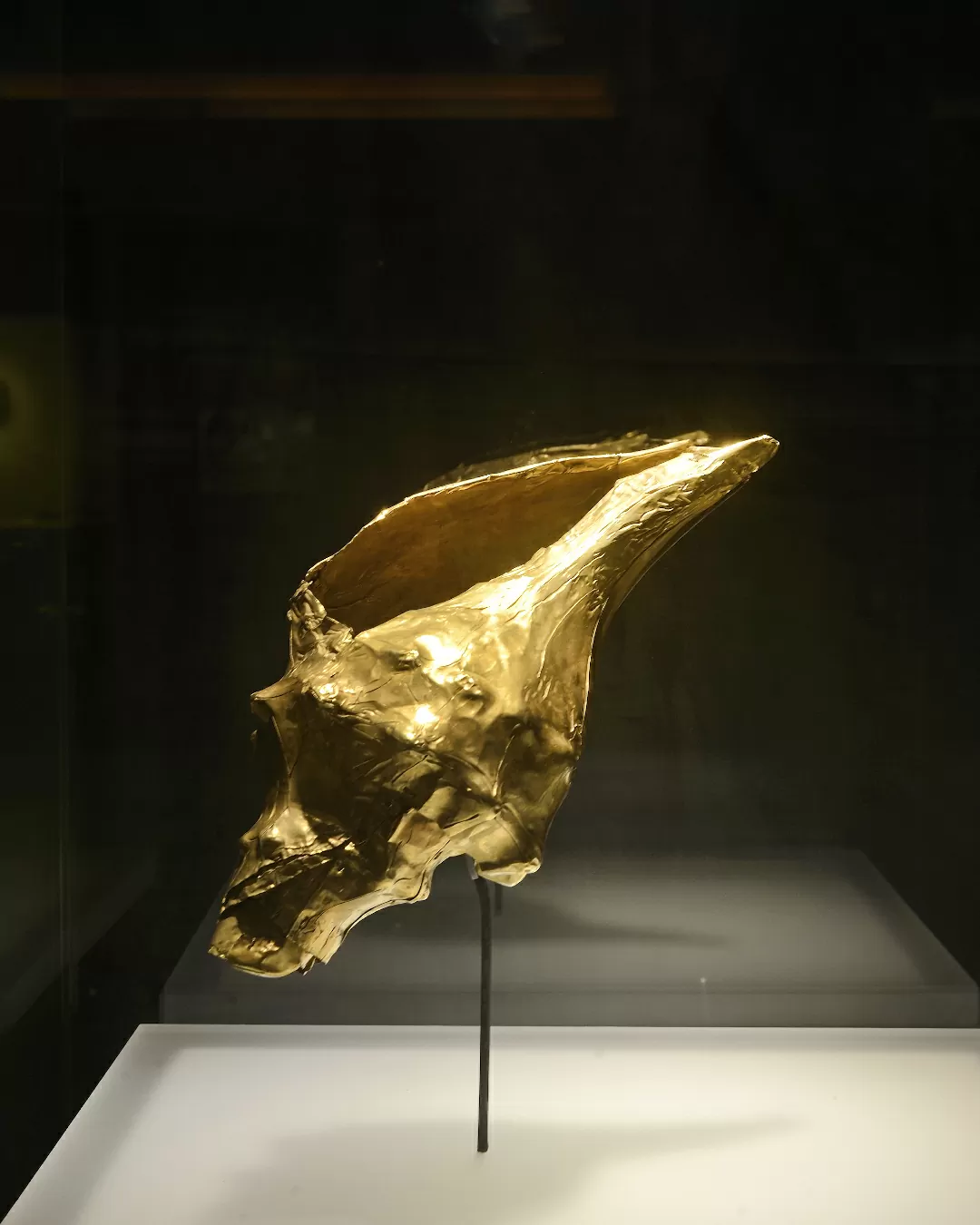 Caracola del Museo del Oro Bogotá