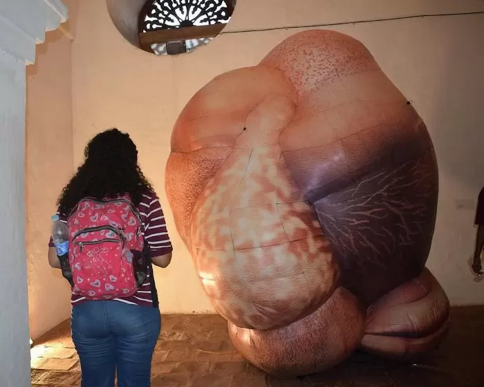 Convergencias. Mary Rivera