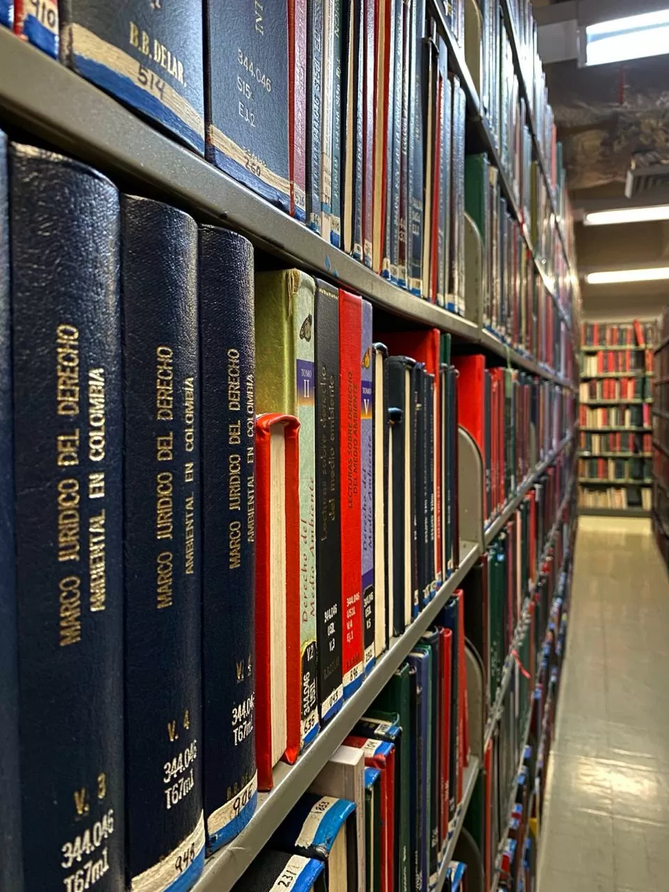 Estanterías de la BLAA