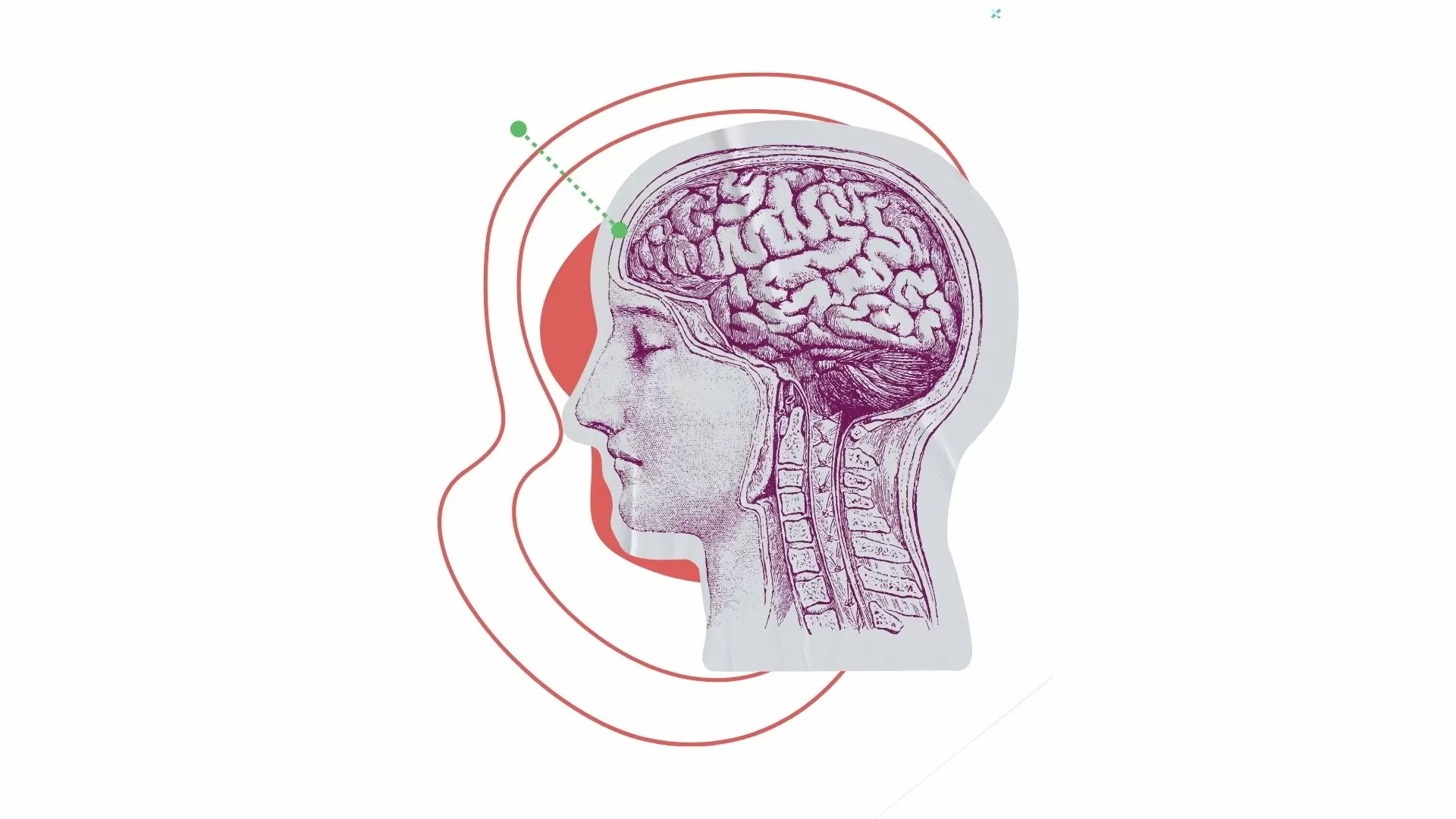 dibujo de un cerebro