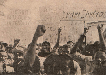 Los movimientos campesinos en la segunda parte del siglo XX | La Red