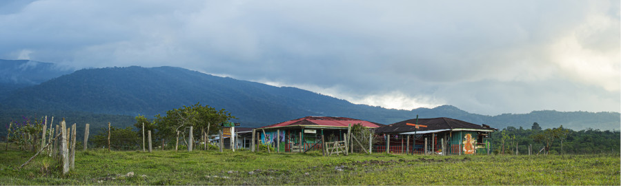 [11] Escuela comunitaria y CMAI Galilea – Centro de Memoria y Acción Integral por el cuidado del Bosque de Galilea, diciembre de 2022.