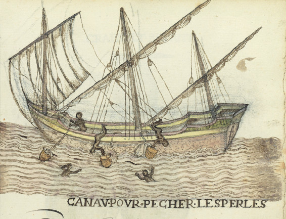 [4] Canoa para pescar perlas en la isla Margarita, Riohacha y el cabo de La Vela Ca. 1586, manuscrito iluminado, Histoire Naturelle des Indes, fol. 57r MA3900. Autor desconocido