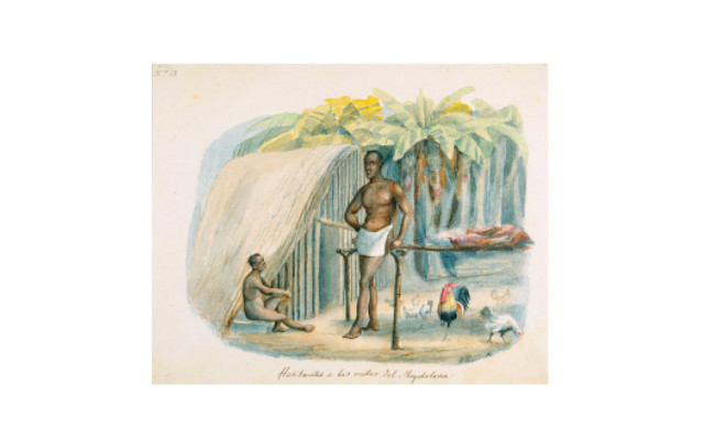 [3] Habitantes de las orillas del Magdalena Ca. 1850, acuarela sobre papel Reg. AP1268. Ramón Torres Méndez (1809-1885)