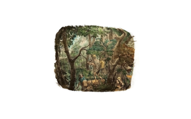 [5] Modo de viajar en las montañas del Quindío y Nemocón Ca. 1851, litografía iluminada sobre papel Reg. AP3626. Ramón Torres Méndez (1809-1885)