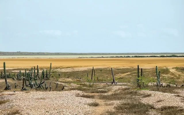 [4] Desierto en la Alta Guajira. Al fondo una llanura de salitral