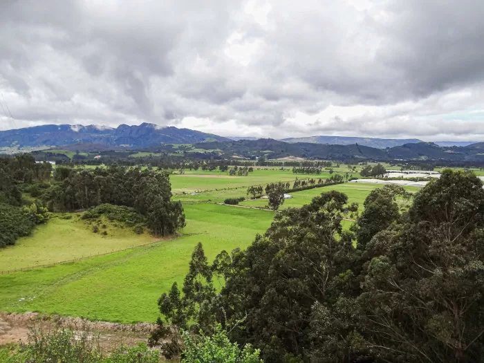 [4] Paisaje rural de Nemocón, Cundinamarca 2012