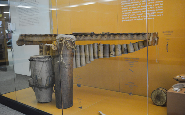 Exposición de la Colección de instrumentos musicales José Ignacio Perdomo Escobar, en la Sala de Música de la BLAA.
