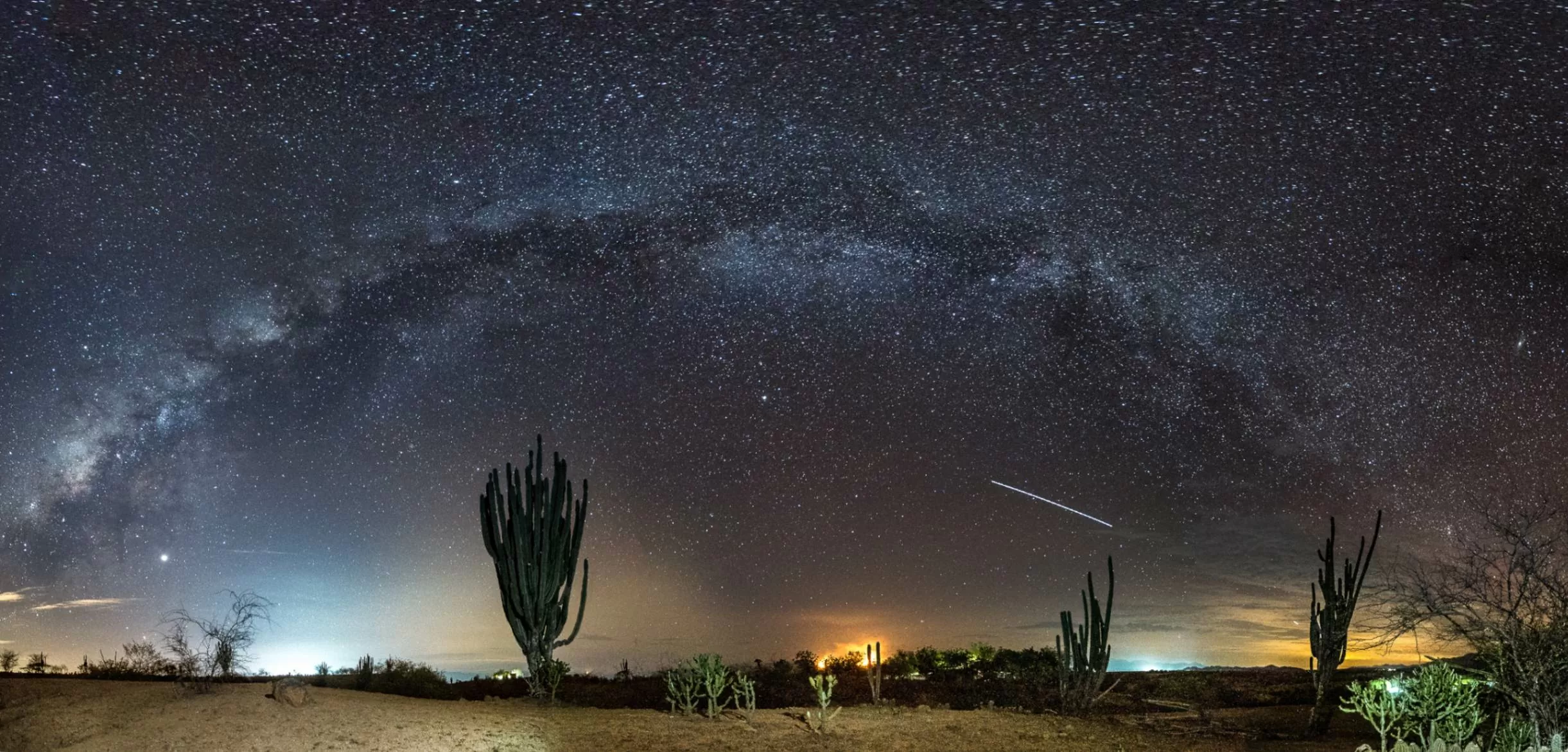 Paisaje de desierto nocturno con cactus y arbustos con el cielo estrellado y 