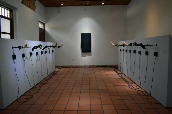 Cantos sordos. Catalina Mora