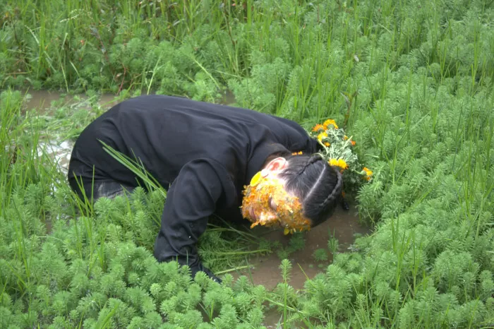 Cuerpos de agua. Luisa Giraldo