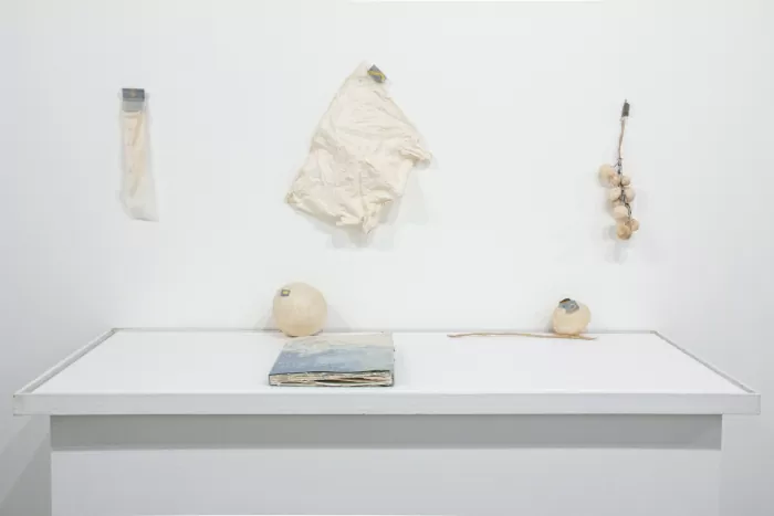 Fragmentos de lluvia. María Carolina Ceballos