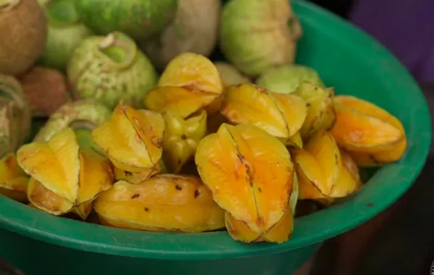 Curaciones tradiciones y bioseguridad alimentaria. Laboratorio de tradiciones del Chocó