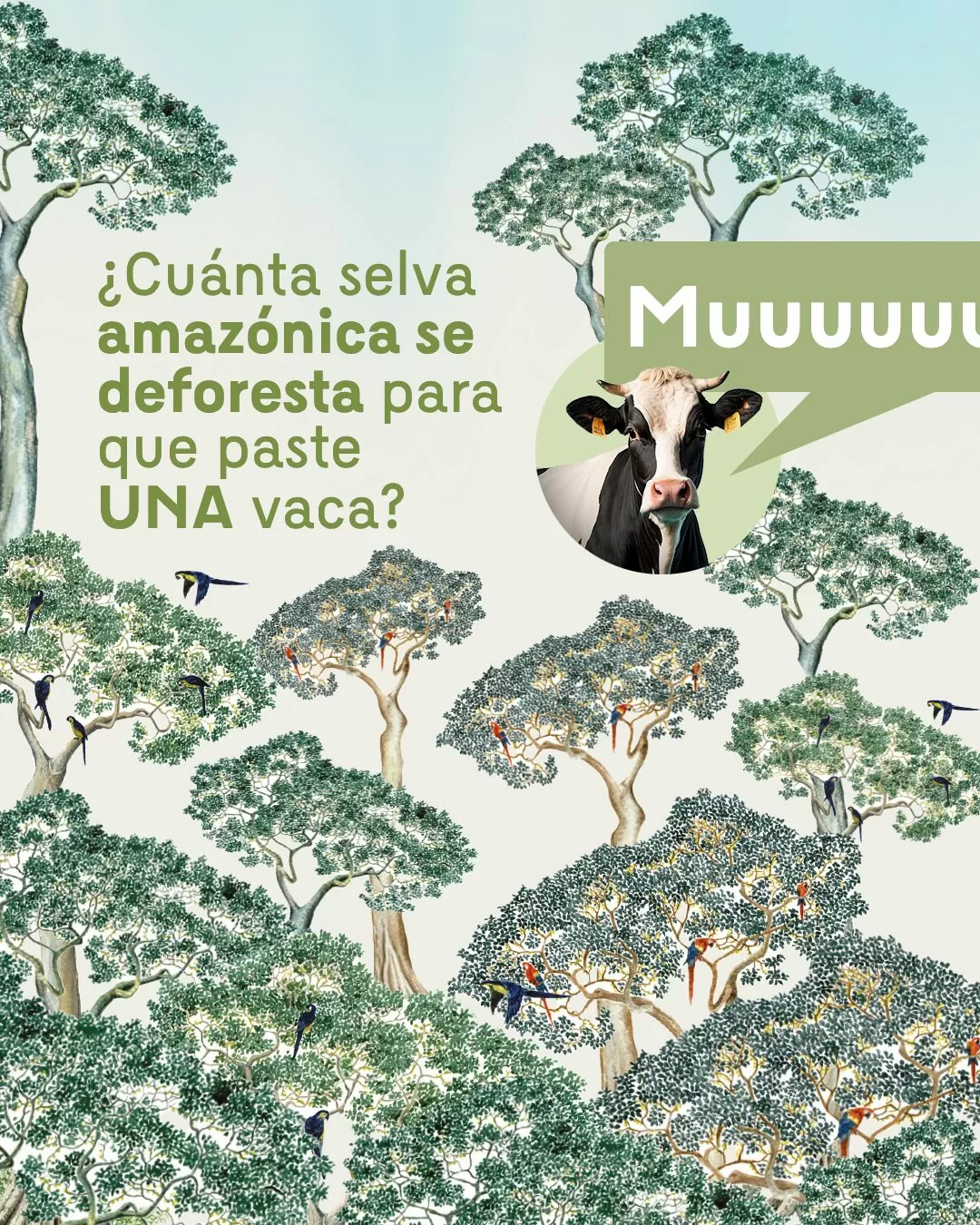 ¿Cuánta selva amazónica se deforesta para que paste UNA vaca?