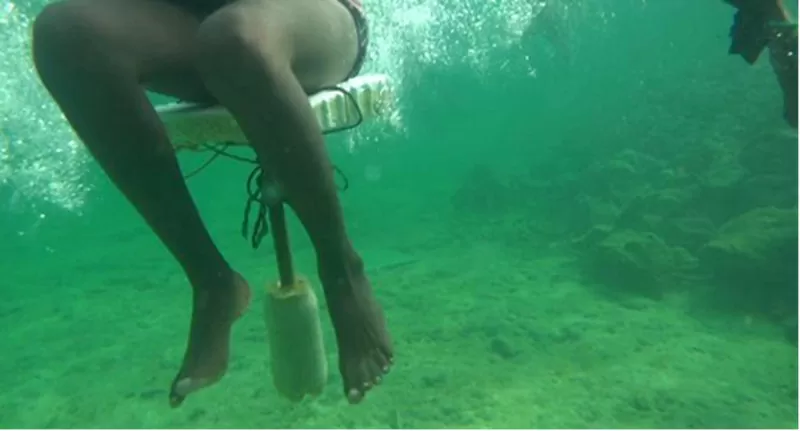 Elkin Calderón. Departamento de Juan Pablo del proyecto Libertalia Tropical 2015. Video monocanal, sonido, 4 minutos 29 segundos - AP7056