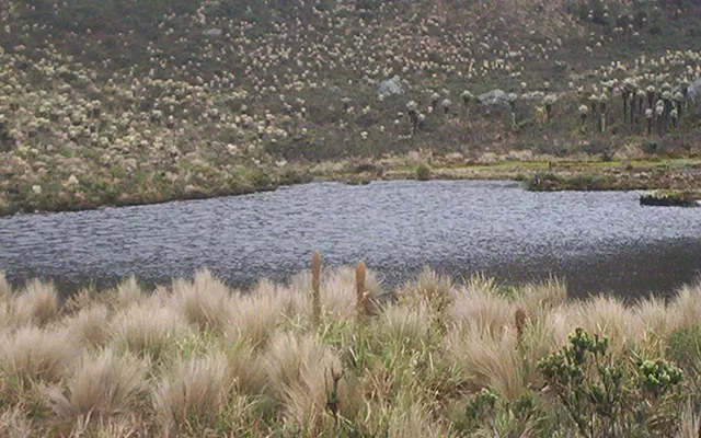 Ecosistema paramo, agua y flora