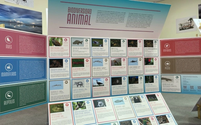 El Magdalena: una cuenca posible. Biodiversidad animal