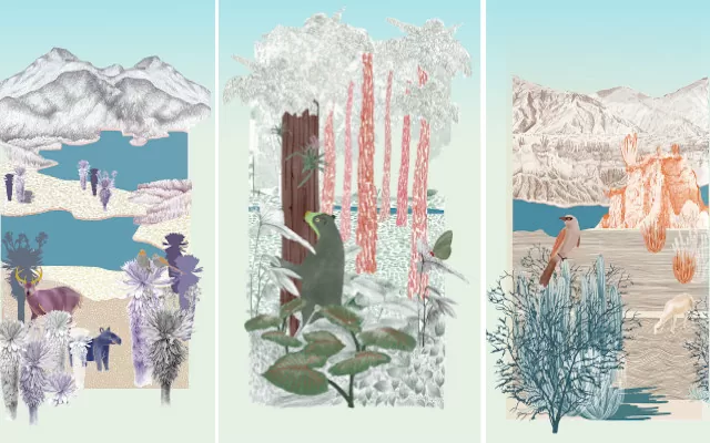 El Magdalena: una cuenca posible. Ecosistemas de la cuenca