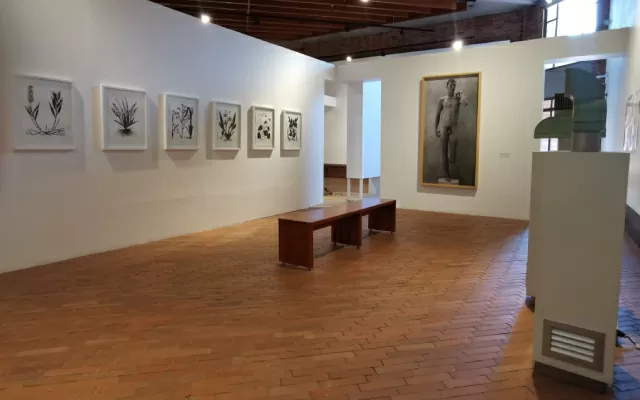 Exposición El tigre no es como pintan, en el Museo del Oro Quimbaya Centro Cultural de Armenia, 2024.