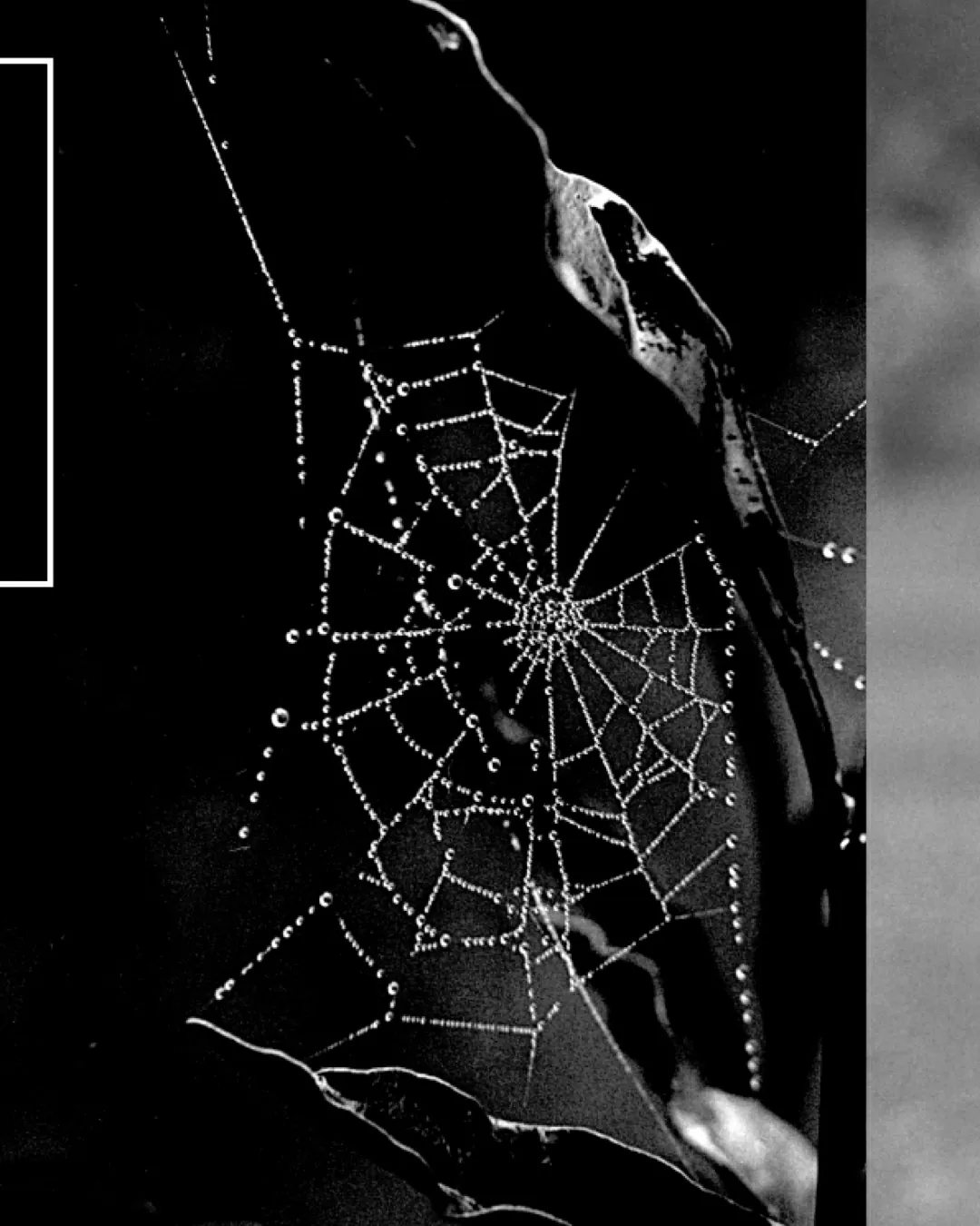 En memoria de Abdú Eljaiek gran fotógrafo colombiano