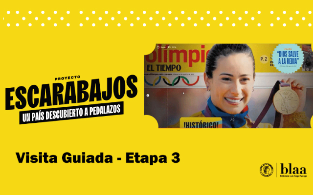 Visita guiada virtual tercera etapa proyecto expositivo Escarabajos.