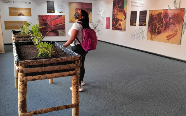 Exposición itinerante Partería: saber ancestral y práctica viva, en el Centro Cultural de Ipiales.