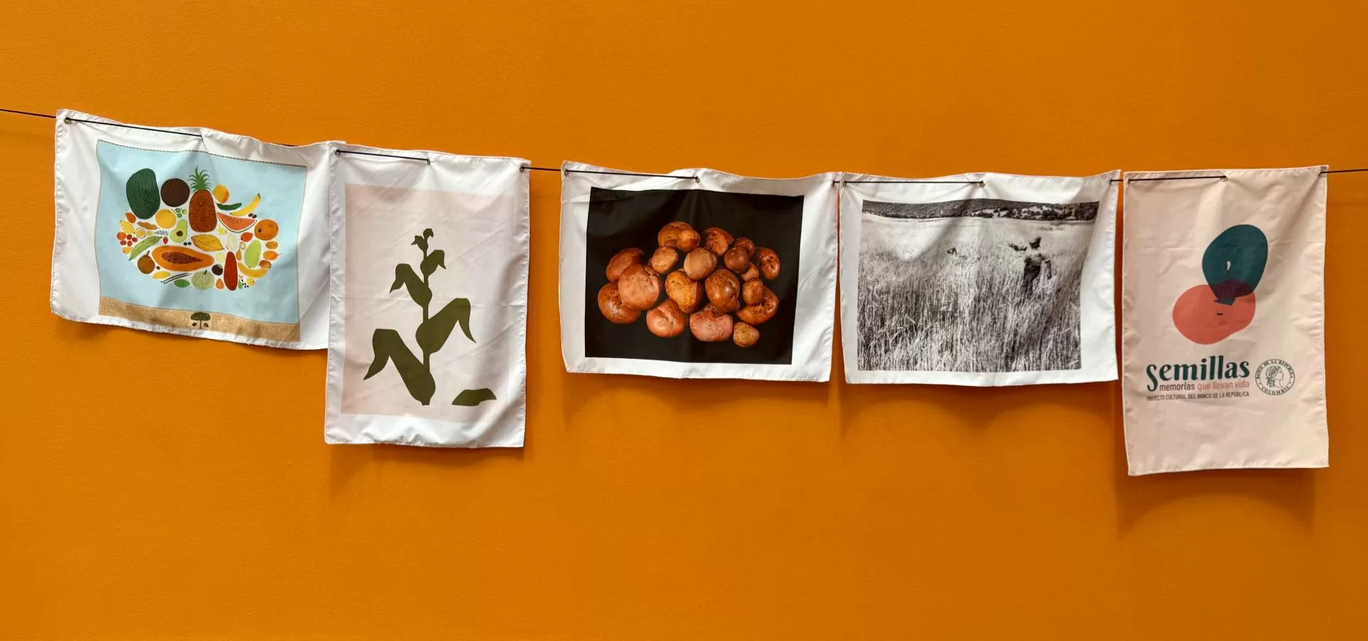 Maleta didáctica de la Exposición viajera Semillas: memorias que llevan vida